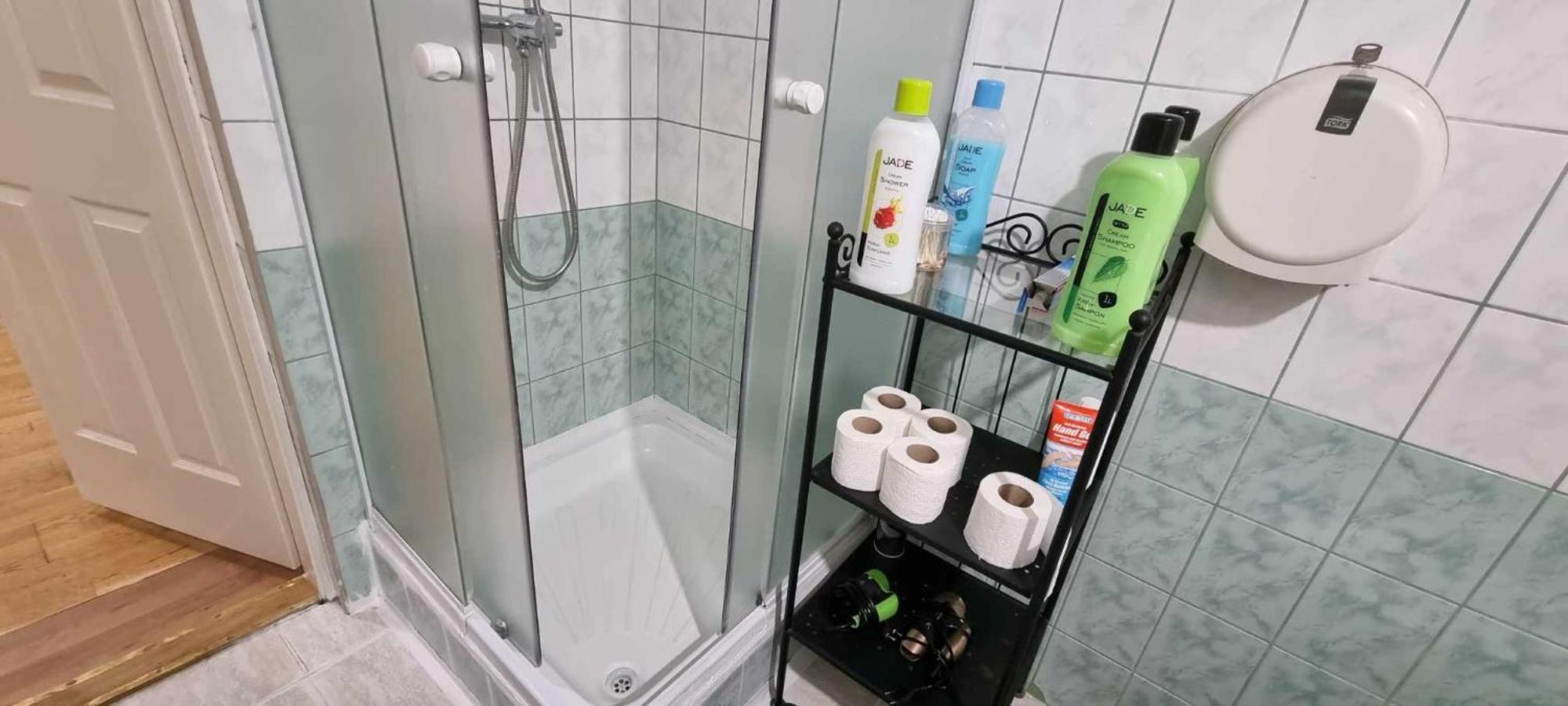 A & E Apartment 布达佩斯 外观 照片